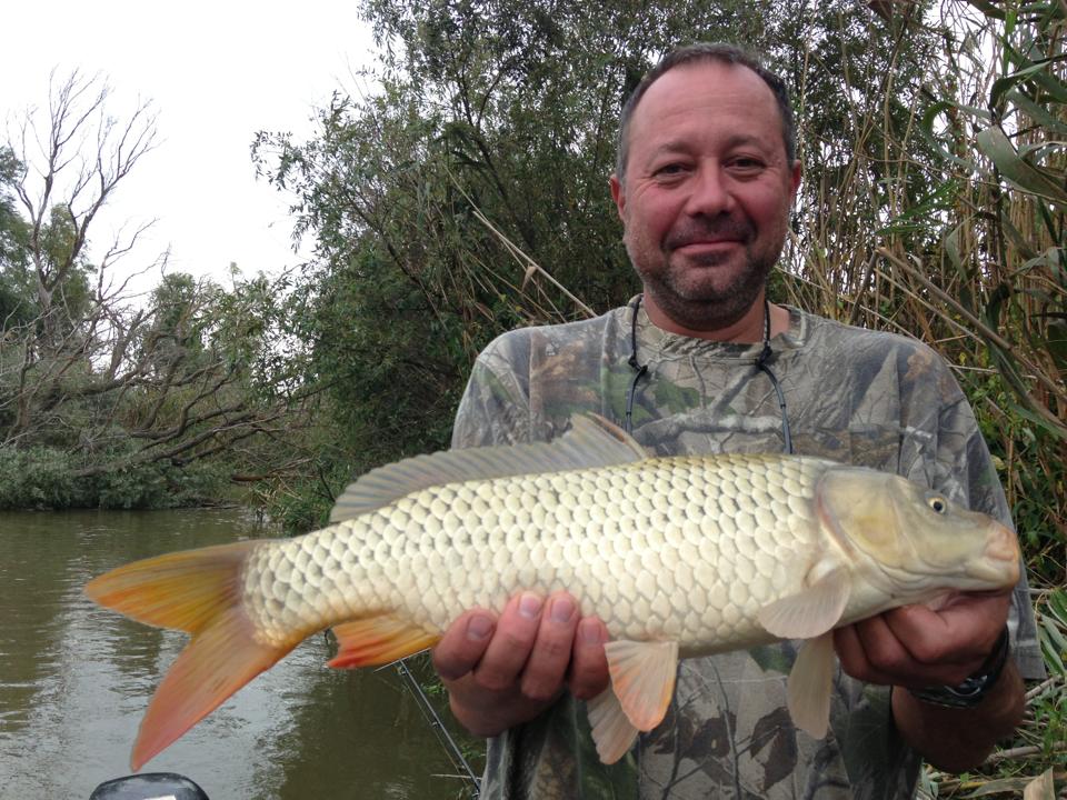 Алисов Игорь