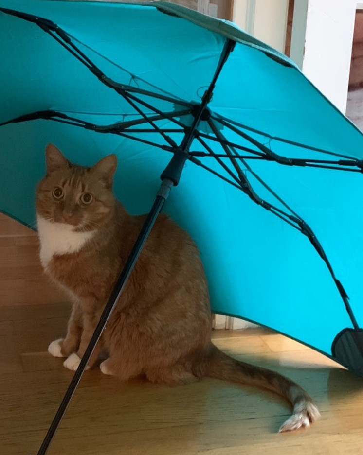 Любимец Ольги Николаевны Митягиной