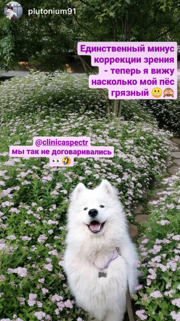 минусы лазерной коррекции зрения 