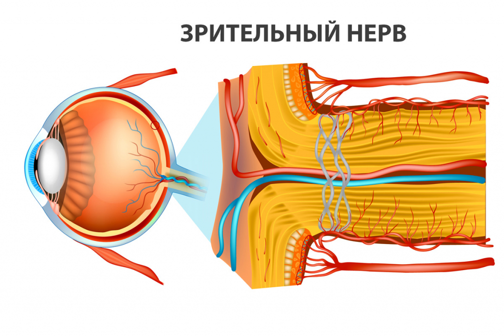 глаукома зрительный нерв
